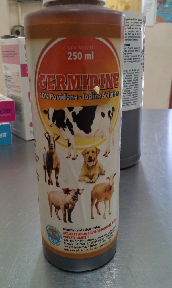 Germidine solution 250ml