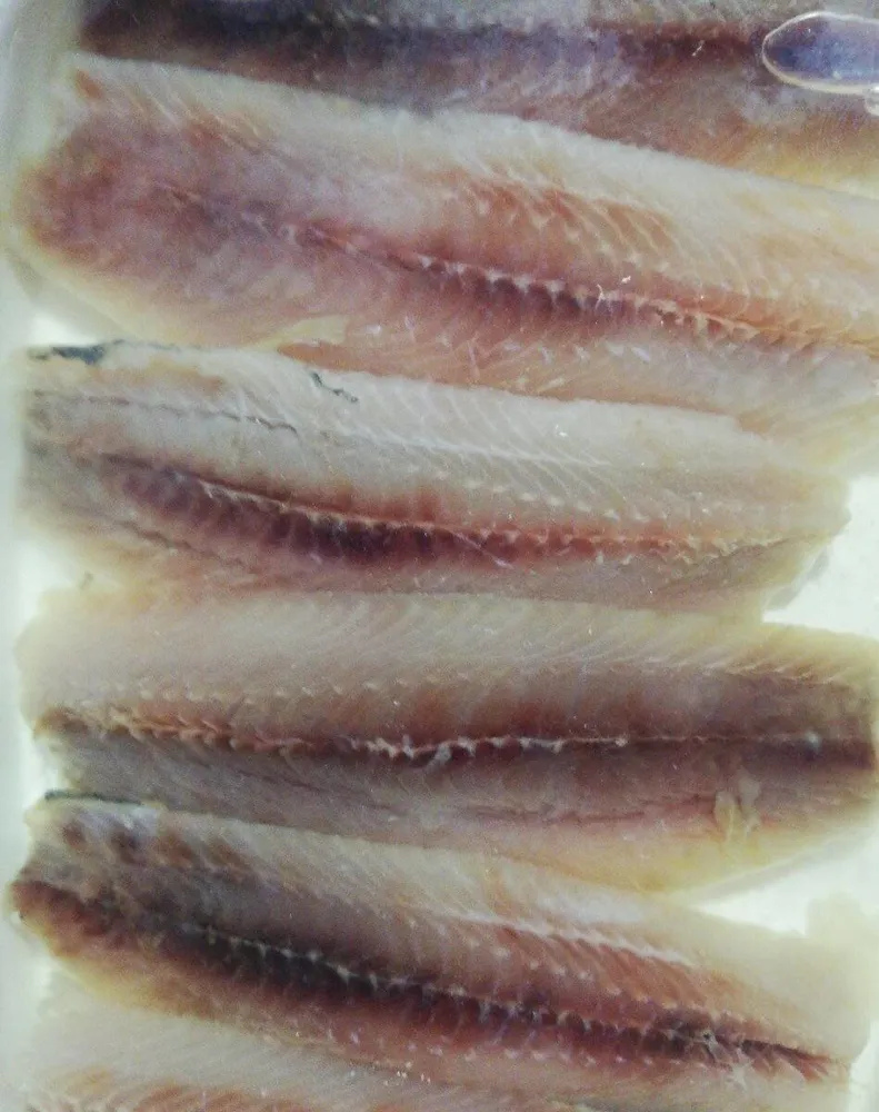 Filete de sardina en aceite de girasol