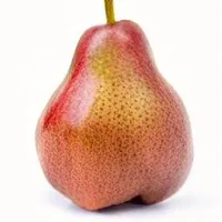 Pears General