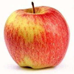 Honeycrisp Apple