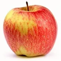 Honeycrisp Apple