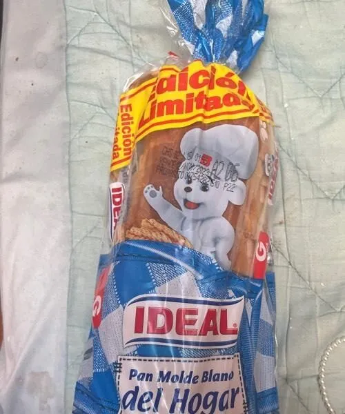 Pan Molde Blanco