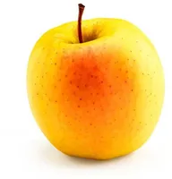 Epler Golden Delicious