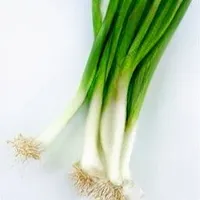 Green Onions