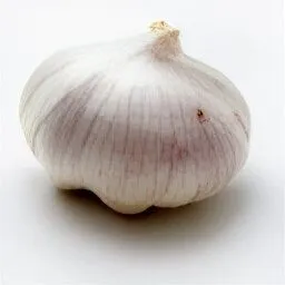 Fresh Garlic: produce code: ?