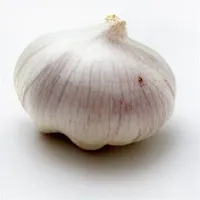 Fresh Garlic: produce code: ?