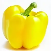 Yellow Bell Pepper