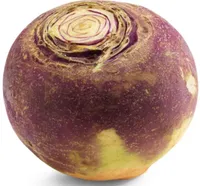 Kålrot stykk