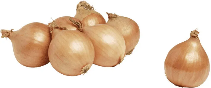 Løk