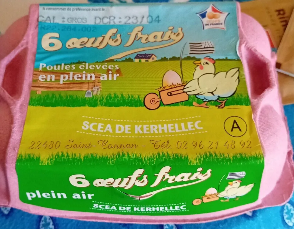 Oeufs frais