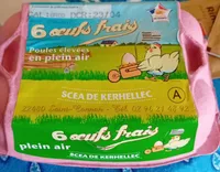 Oeufs frais