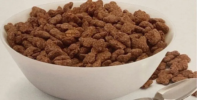CHOCO STELLINE BIO