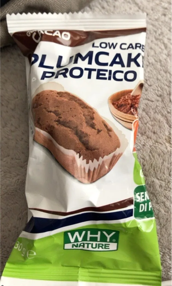Low carb plumcake proteico
