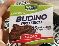 Budino proteico
