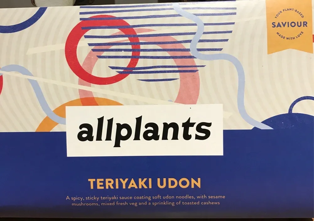 Teriyaki Udon
