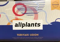 Teriyaki Udon