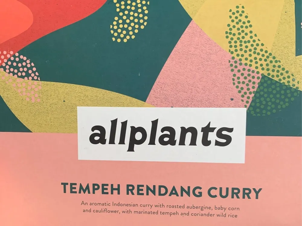 Tempeh Rendang curry