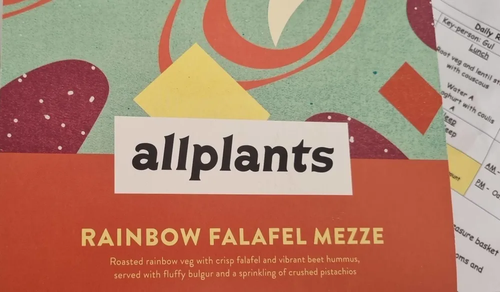 Rainbow Falafel Mezze
