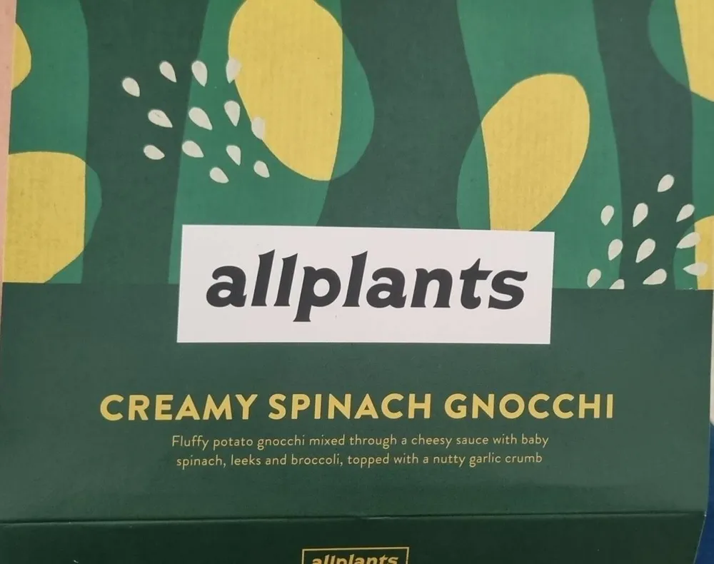 Creamy Spinach Gnocchi