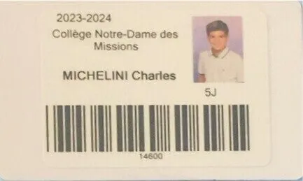 Charlyminion