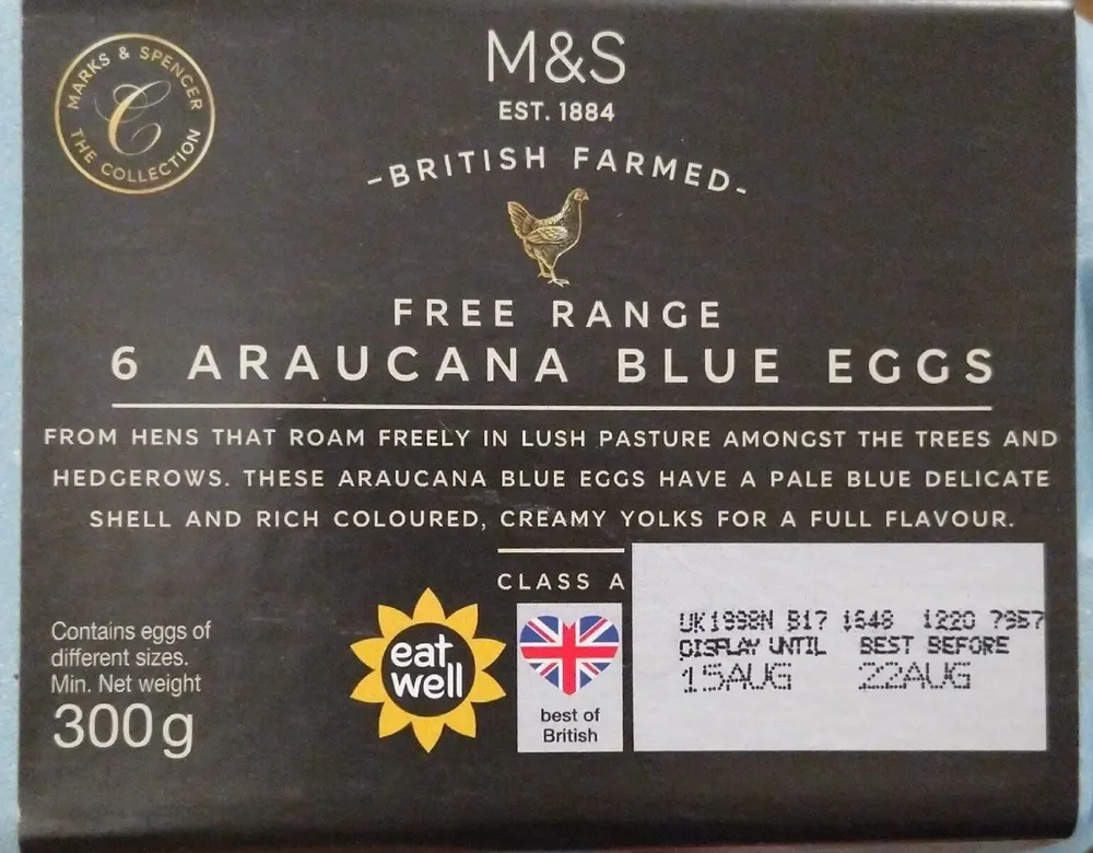 6 Araucana Blue Eggs