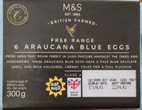 6 Araucana Blue Eggs