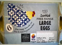 Scottish Free Range Large Egg