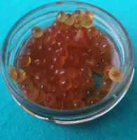 Oeufs de saumon rose du Pacifique