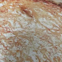 3 cheese pizza
