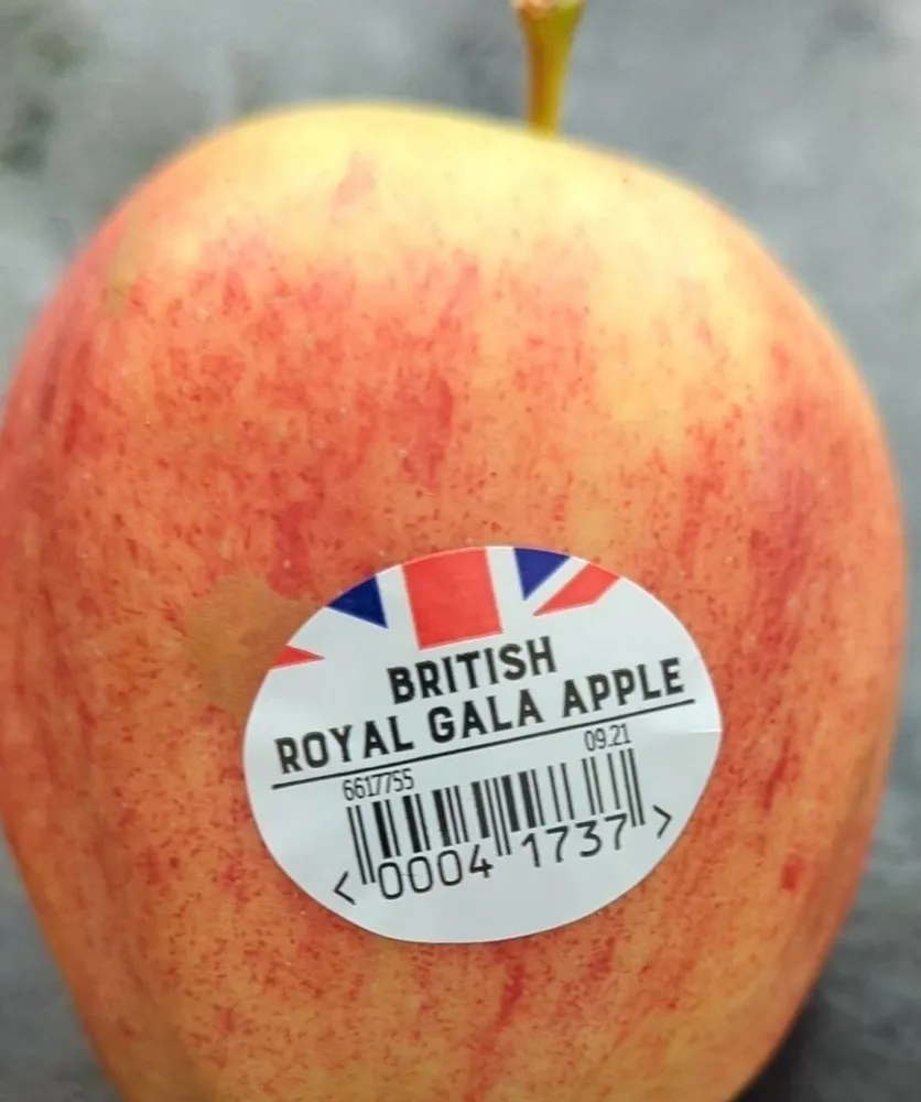 Royal Gala Apple