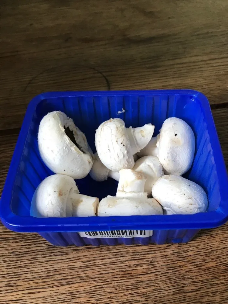 Champignons de paris