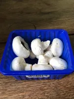 Champignons de paris