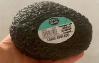 Large Ripe Avocado