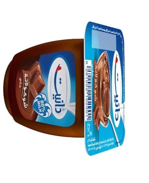 Danette - Chocolate Dessert