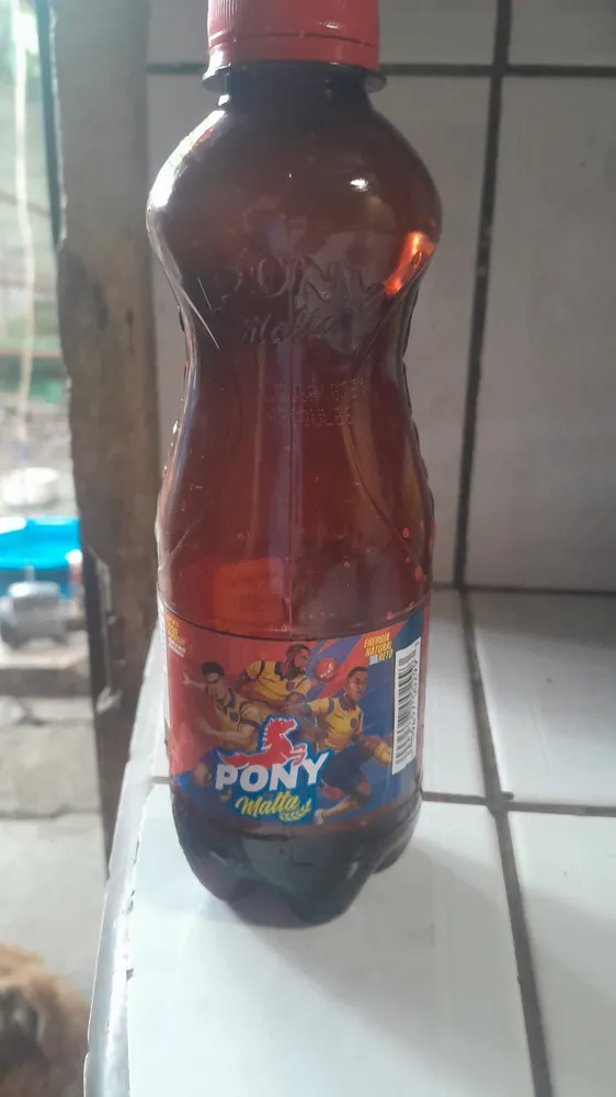 Pony Malta