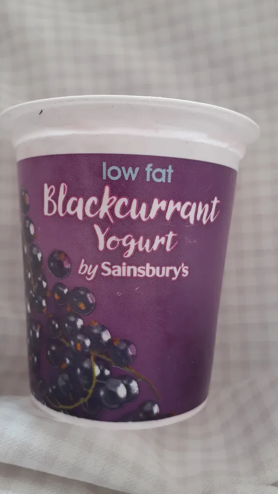 low fat Blackcurrant Yogurt