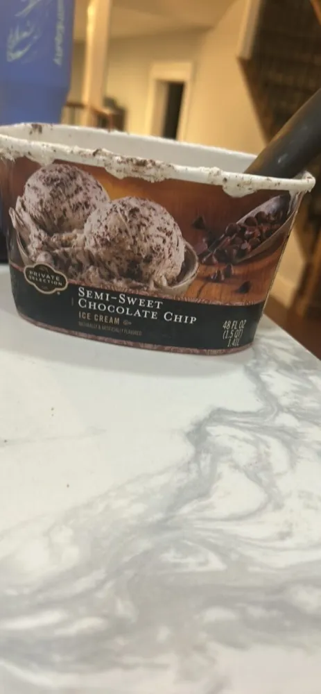 Semi-Sweet Chocolate Chip Ice Cream