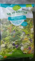 SALAD STARTER VERY VEGGIE MEDLEY