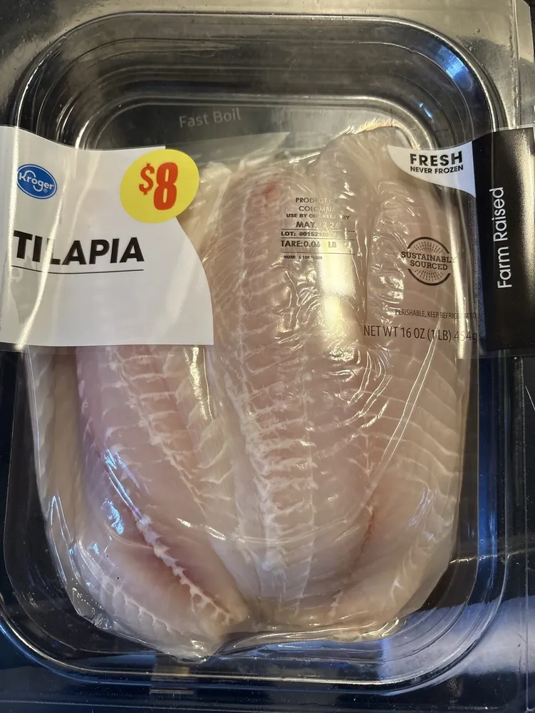 Tilapia