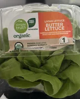 Living butter lettuce