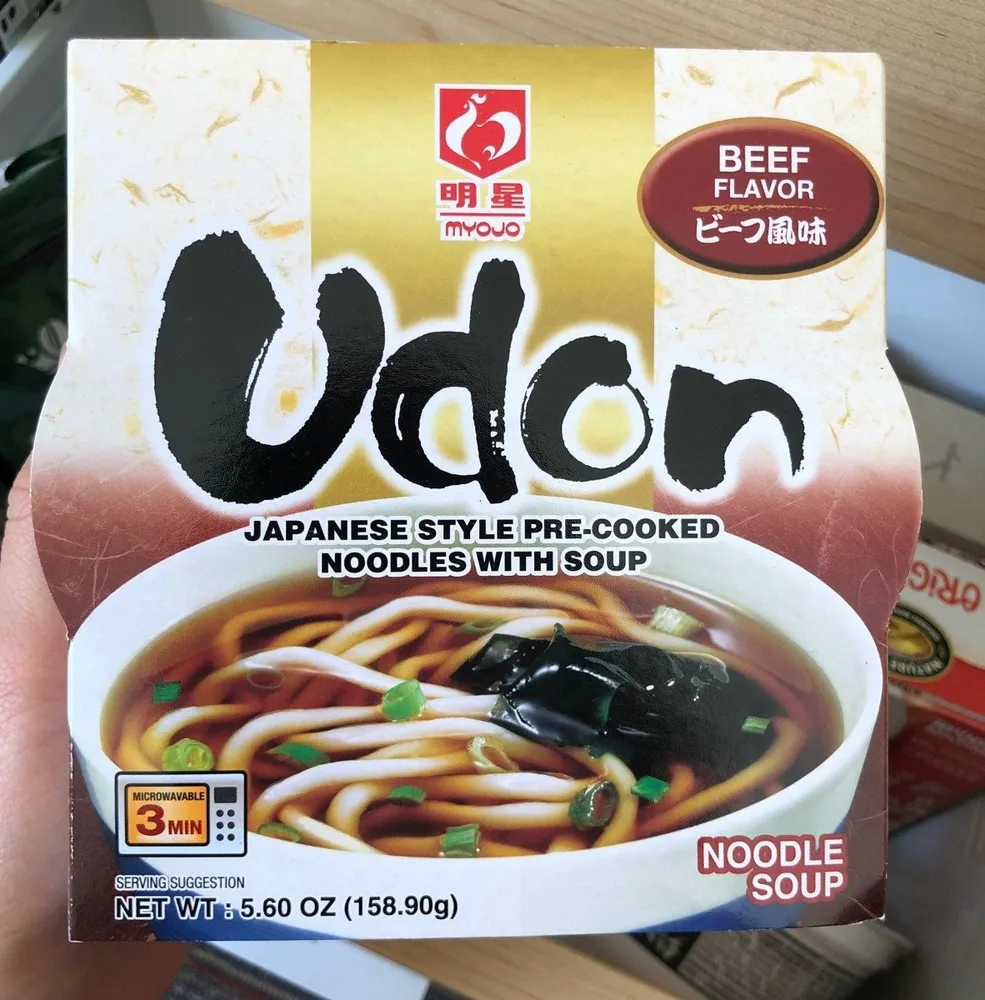 Udon noodle soup