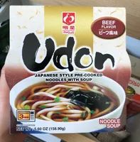 Udon noodle soup