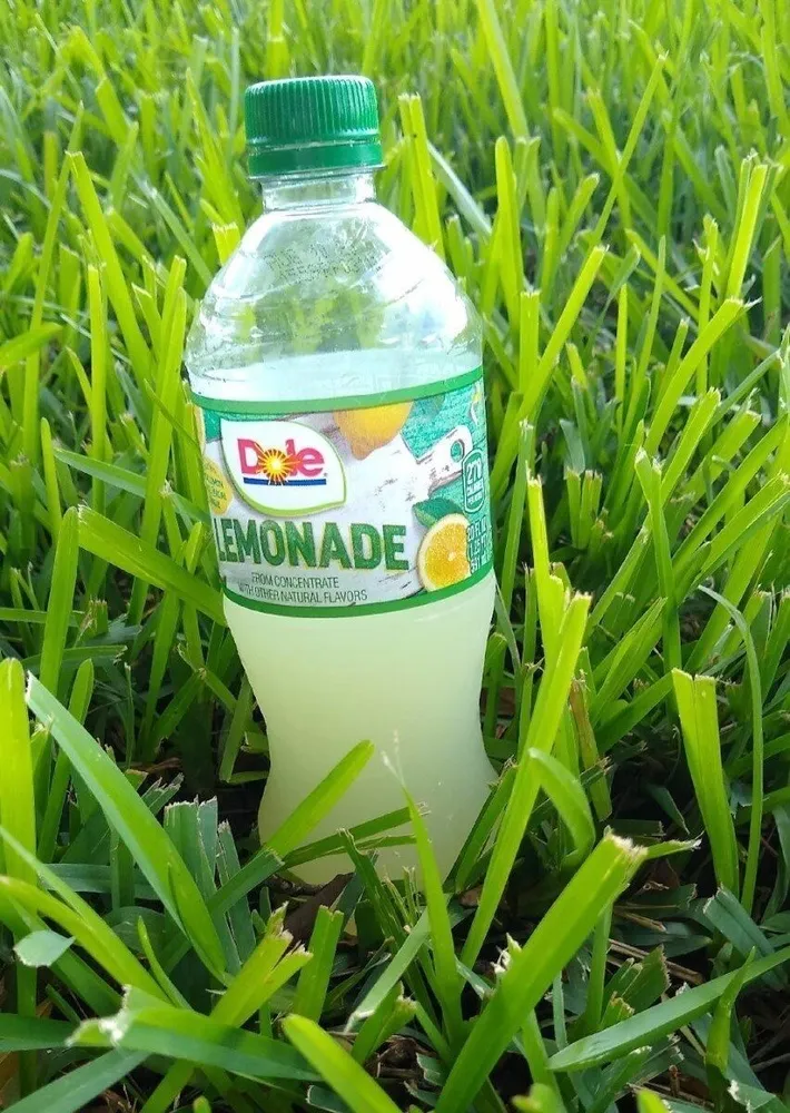 Dole Lemonade