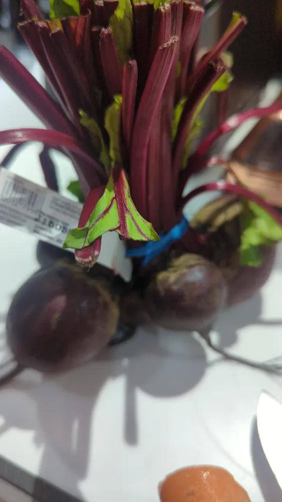 Bunched Beetroot
