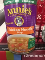 Chicken Noodle Soup
