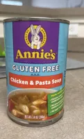 Gluten free chicken and pasta soup