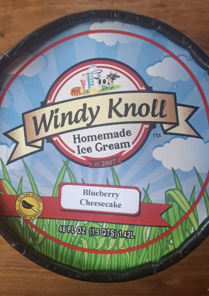 Blueberry Cheesecake Ice Cream
