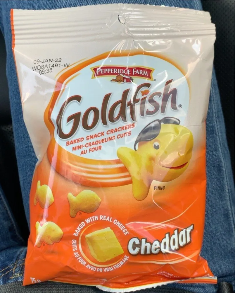 Goldfish