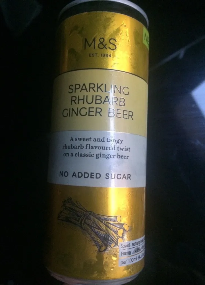 Sparkling rhubarb ginger beer