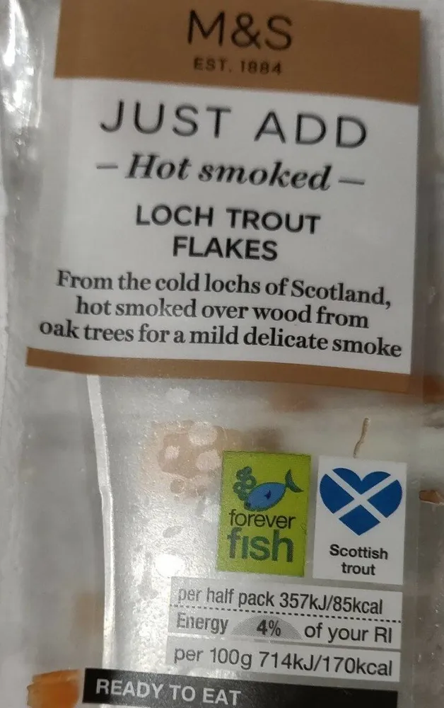 Salmon